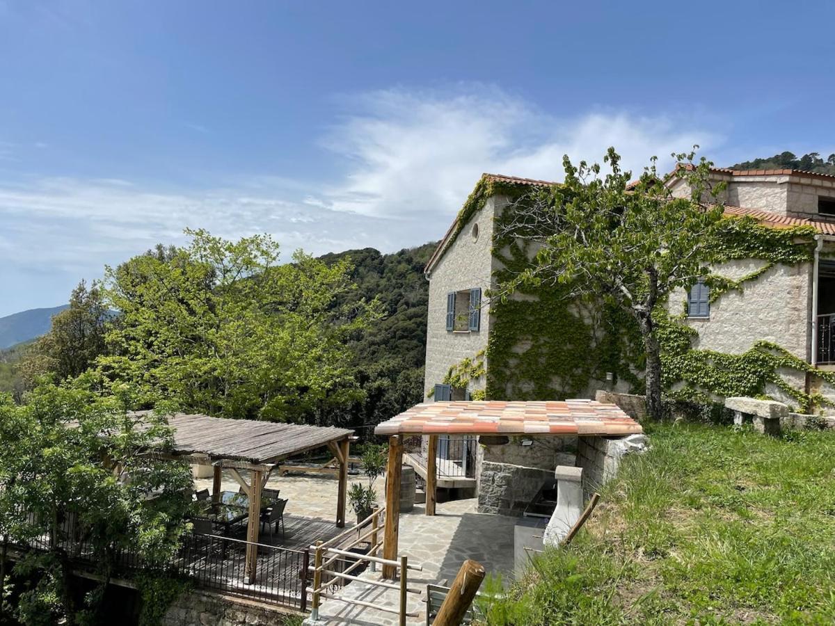 Sud-Corse Bavella Location Montagne Et Mer Sorbollano Exterior foto
